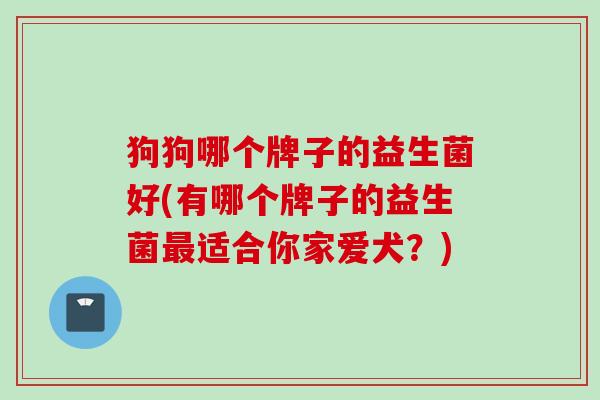 狗狗哪个牌子的益生菌好(有哪个牌子的益生菌适合你家爱犬？)