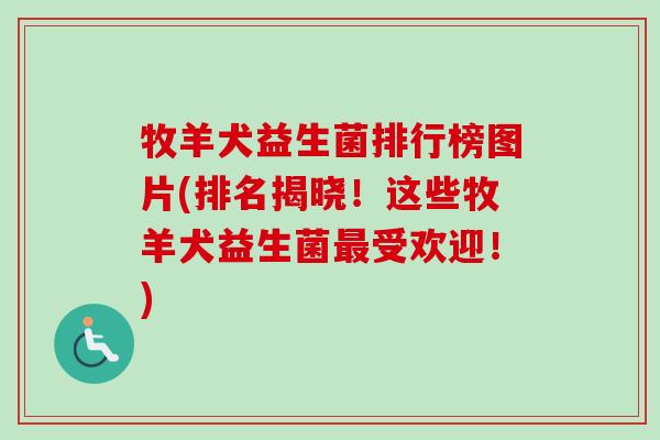 牧羊犬益生菌排行榜图片(排名揭晓!这些牧羊犬益生菌受欢迎!) 牧羊犬益生菌排行榜图片(排名揭晓!这些牧羊犬益生菌受欢迎!)