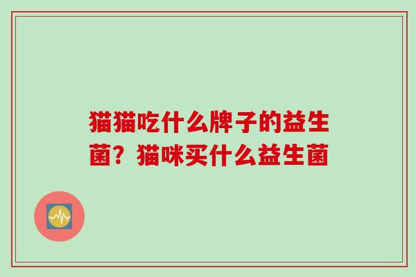 猫猫吃什么牌子的益生菌？猫咪买什么益生菌