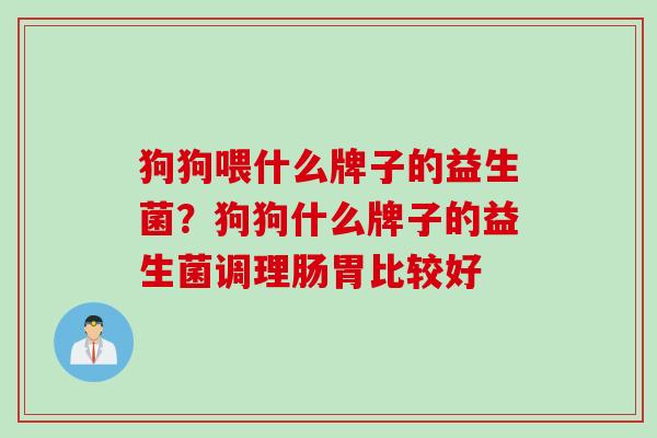 狗狗喂什么牌子的益生菌？狗狗什么牌子的益生菌调理肠胃比较好