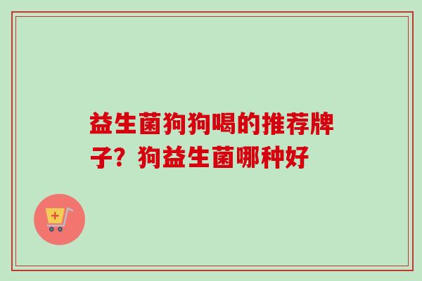 益生菌狗狗喝的推荐牌子？狗益生菌哪种好