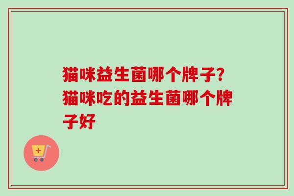 猫咪益生菌哪个牌子？猫咪吃的益生菌哪个牌子好