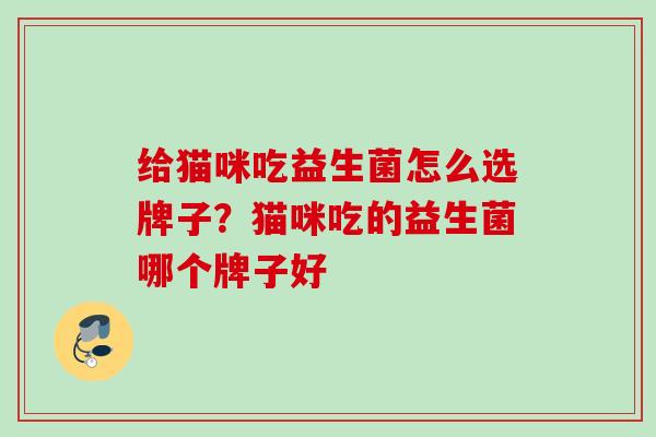 给猫咪吃益生菌怎么选牌子？猫咪吃的益生菌哪个牌子好