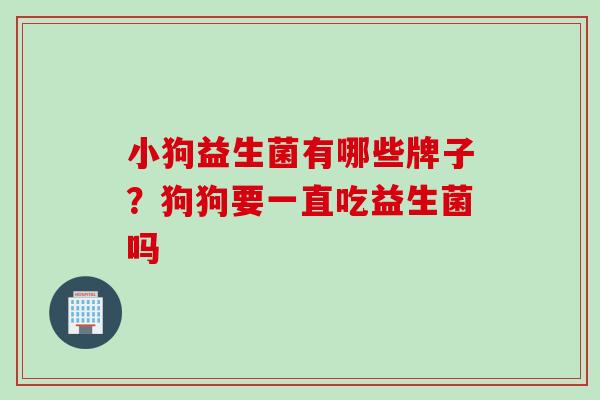 小狗益生菌有哪些牌子？狗狗要一直吃益生菌吗
