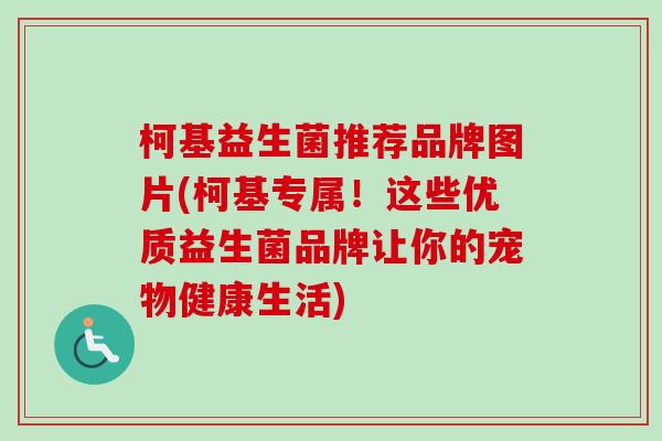 柯基益生菌推荐品牌图片(柯基专属！这些优质益生菌品牌让你的宠物健康生活)