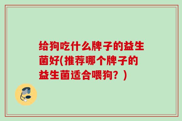 给狗吃什么牌子的益生菌好(推荐哪个牌子的益生菌适合喂狗？)