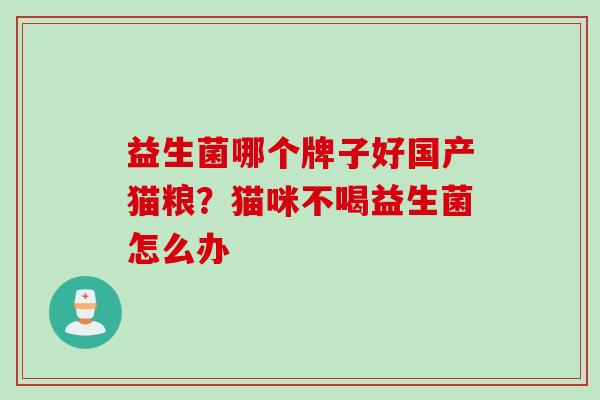 益生菌哪个牌子好国产猫粮?猫咪不喝益生菌怎么办 益生菌哪个牌子好国产猫粮?猫咪不喝益生菌怎么办