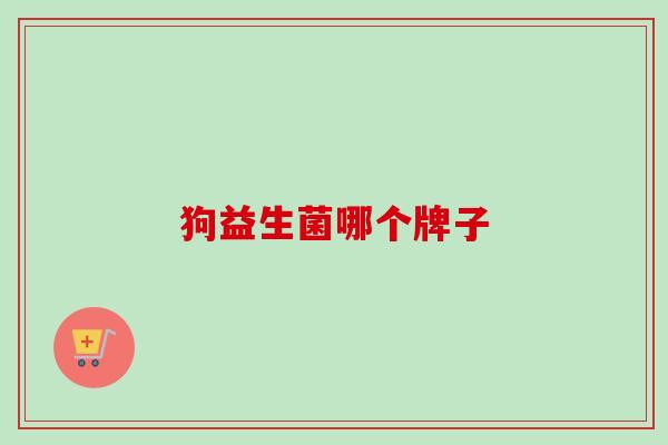 狗益生菌哪个牌子