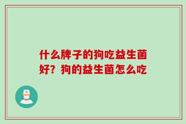 什么牌子的狗吃益生菌好?狗的益生菌怎么吃 什么牌子的狗吃益生菌好?狗的益生菌怎么吃