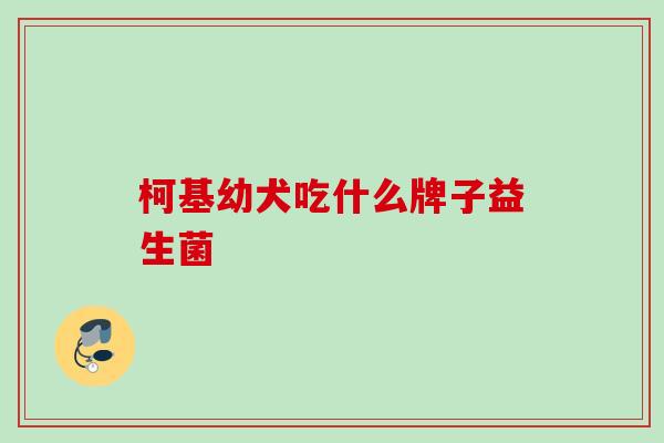 柯基幼犬吃什么牌子益生菌 柯基幼犬吃什么牌子益生菌