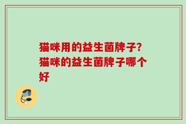 猫咪用的益生菌牌子?猫咪的益生菌牌子哪个好 猫咪用的益生菌牌子?猫咪的益生菌牌子哪个好