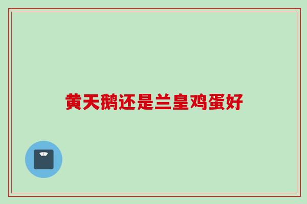 黄天鹅还是兰皇鸡蛋好