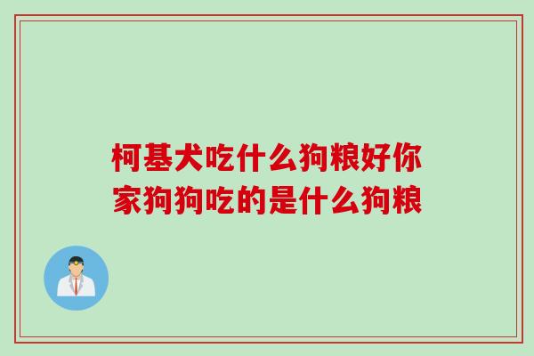 柯基犬吃什么狗粮好你家狗狗吃的是什么狗粮 柯基犬吃什么狗粮好你家狗狗吃的是什么狗粮