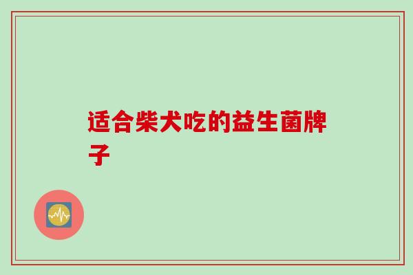 适合柴犬吃的益生菌牌子 适合柴犬吃的益生菌牌子