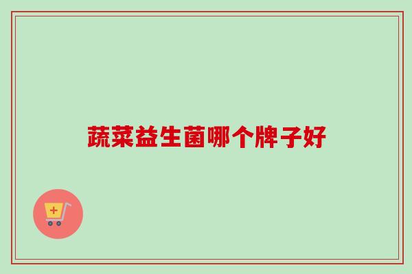 蔬菜益生菌哪个牌子好