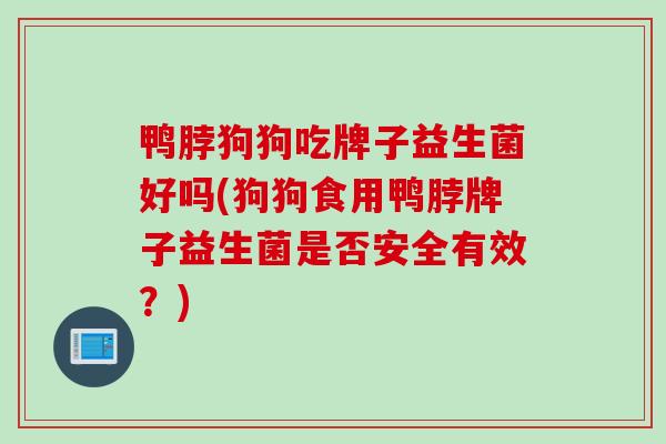 鸭脖狗狗吃牌子益生菌好吗(狗狗食用鸭脖牌子益生菌是否安全有效?) 鸭脖狗狗吃牌子益生菌好吗(狗狗食用鸭脖牌子益生菌是否安全有效?)