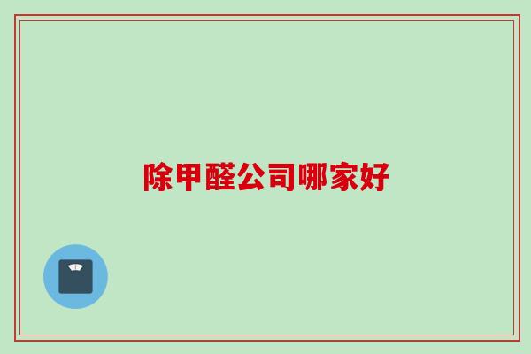 除甲醛公司哪家好