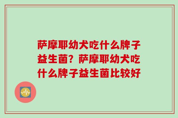 萨摩耶幼犬吃什么牌子益生菌？萨摩耶幼犬吃什么牌子益生菌比较好