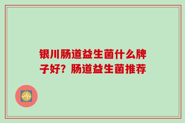 银川肠道益生菌什么牌子好？肠道益生菌推荐