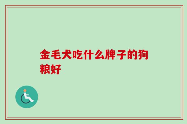 金毛犬吃什么牌子的狗粮好