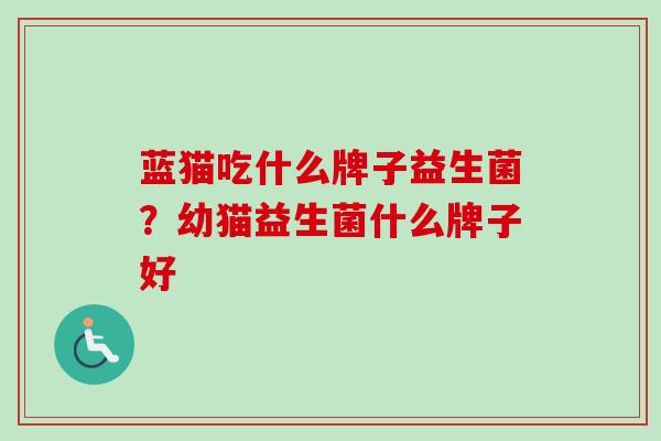 蓝猫吃什么牌子益生菌？幼猫益生菌什么牌子好