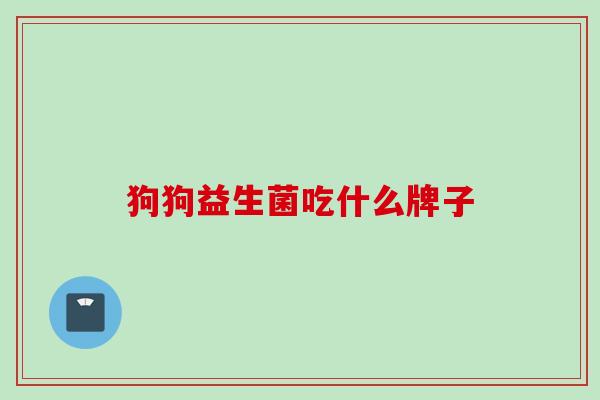 狗狗益生菌吃什么牌子