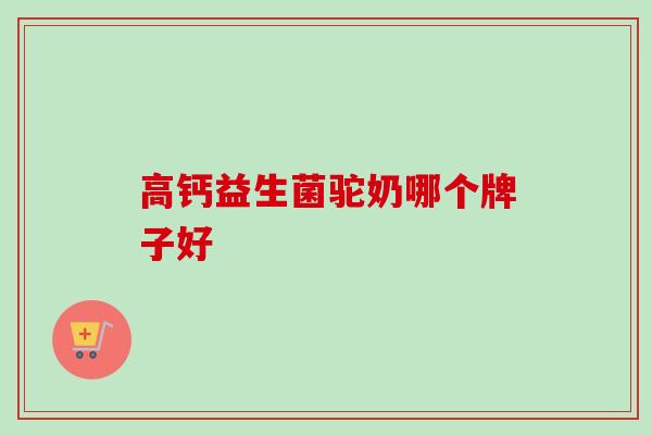 高钙益生菌驼奶哪个牌子好