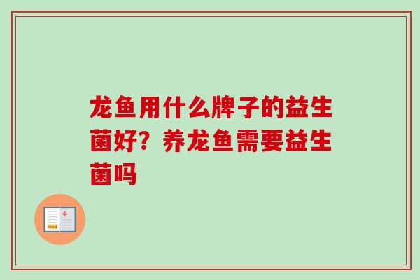 龙鱼用什么牌子的益生菌好？养龙鱼需要益生菌吗