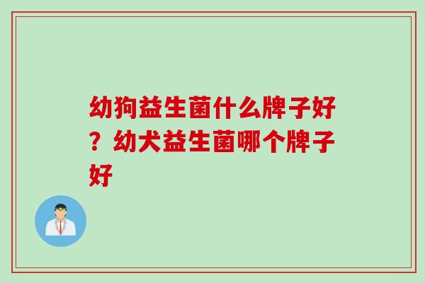 幼狗益生菌什么牌子好？幼犬益生菌哪个牌子好