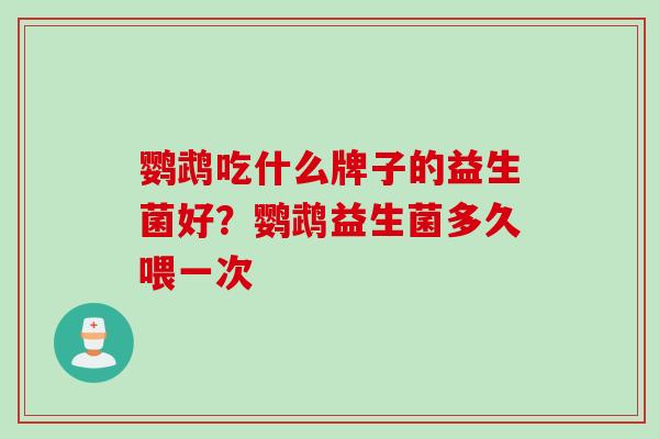 鹦鹉吃什么牌子的益生菌好？鹦鹉益生菌多久喂一次