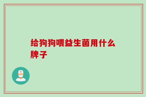 给狗狗喂益生菌用什么牌子 给狗狗喂益生菌用什么牌子