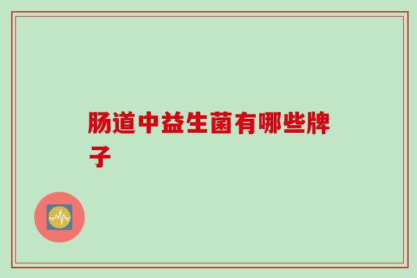 肠道中益生菌有哪些牌子