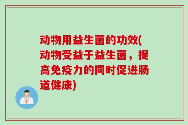 动物用益生菌的功效(动物受益于益生菌，提高力的同时促进肠道健康)