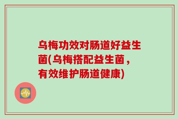 乌梅功效对肠道好益生菌(乌梅搭配益生菌，有效维护肠道健康)