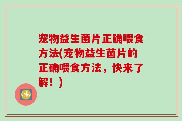 宠物益生菌片正确喂食方法(宠物益生菌片的正确喂食方法,快来了解!) 宠物益生菌片正确喂食方法(宠物益生菌片的正确喂食方法,快来了解!)