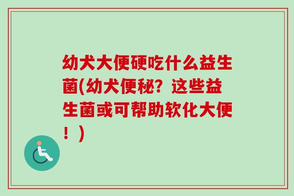 幼犬大便硬吃什么益生菌(幼犬便秘？这些益生菌或可帮助软化大便！)