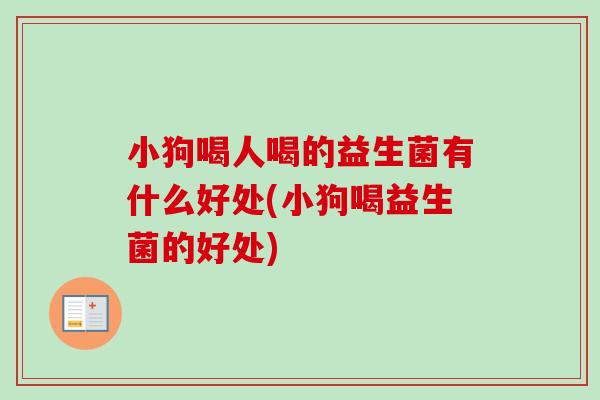 小狗喝人喝的益生菌有什么好处(小狗喝益生菌的好处)