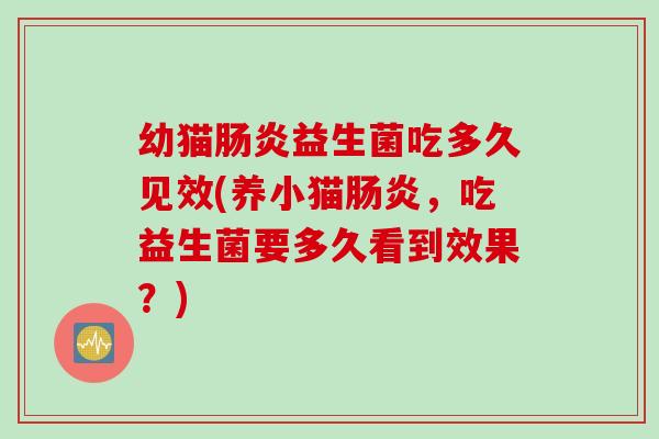 幼猫益生菌吃多久见效(养小猫，吃益生菌要多久看到效果？)