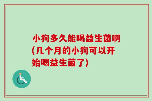 小狗多久能喝益生菌啊(几个月的小狗可以开始喝益生菌了)