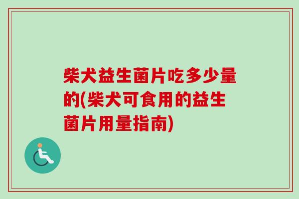 柴犬益生菌片吃多少量的(柴犬可食用的益生菌片用量指南)