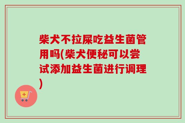 柴犬不拉屎吃益生菌管用吗(柴犬可以尝试添加益生菌进行调理)
