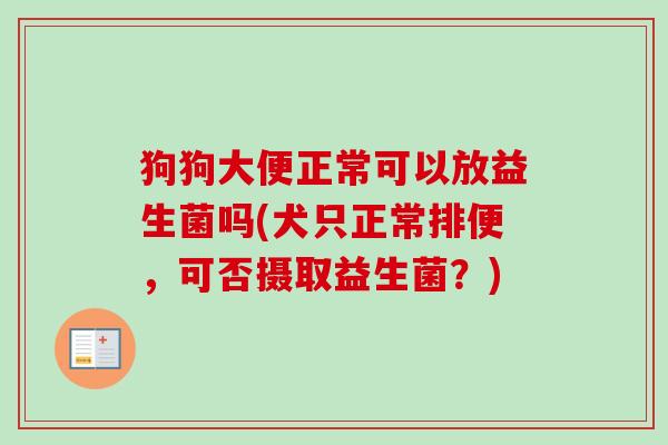 狗狗大便正常可以放益生菌吗(犬只正常排便,可否摄取益生菌?) 狗狗大便正常可以放益生菌吗(犬只正常排便,可否摄取益生菌?)