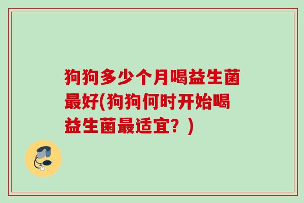 狗狗多少个月喝益生菌好(狗狗何时开始喝益生菌适宜？)
