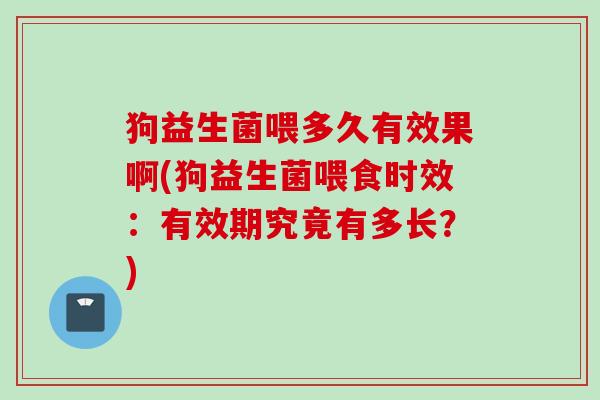 狗益生菌喂多久有效果啊(狗益生菌喂食时效:有效期究竟有多长?) 狗益生菌喂多久有效果啊(狗益生菌喂食时效:有效期究竟有多长?)