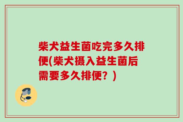 柴犬益生菌吃完多久排便(柴犬摄入益生菌后需要多久排便?) 柴犬益生菌吃完多久排便(柴犬摄入益生菌后需要多久排便?)
