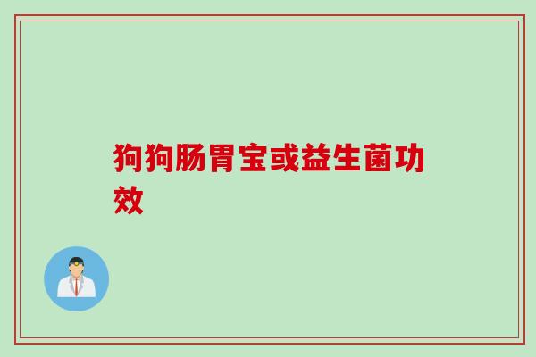 狗狗肠胃宝或益生菌功效