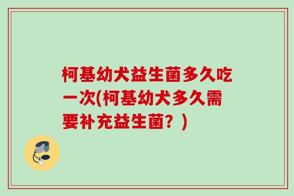 柯基幼犬益生菌多久吃一次(柯基幼犬多久需要补充益生菌？)