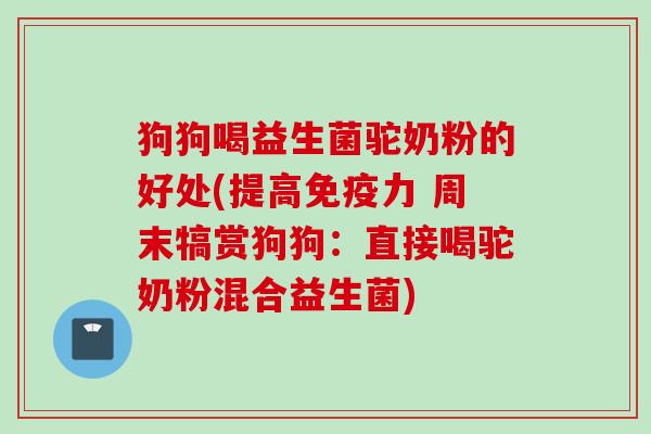 狗狗喝益生菌驼奶粉的好处(提高力 周末犒赏狗狗：直接喝驼奶粉混合益生菌)