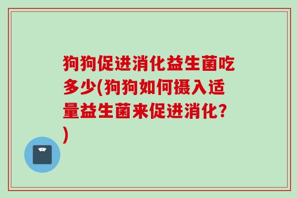 狗狗促进消化益生菌吃多少(狗狗如何摄入适量益生菌来促进消化?) 狗狗促进消化益生菌吃多少(狗狗如何摄入适量益生菌来促进消化?)