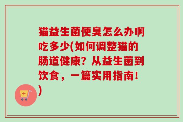 猫益生菌便臭怎么办啊吃多少(如何调整猫的肠道健康？从益生菌到饮食，一篇实用指南！)